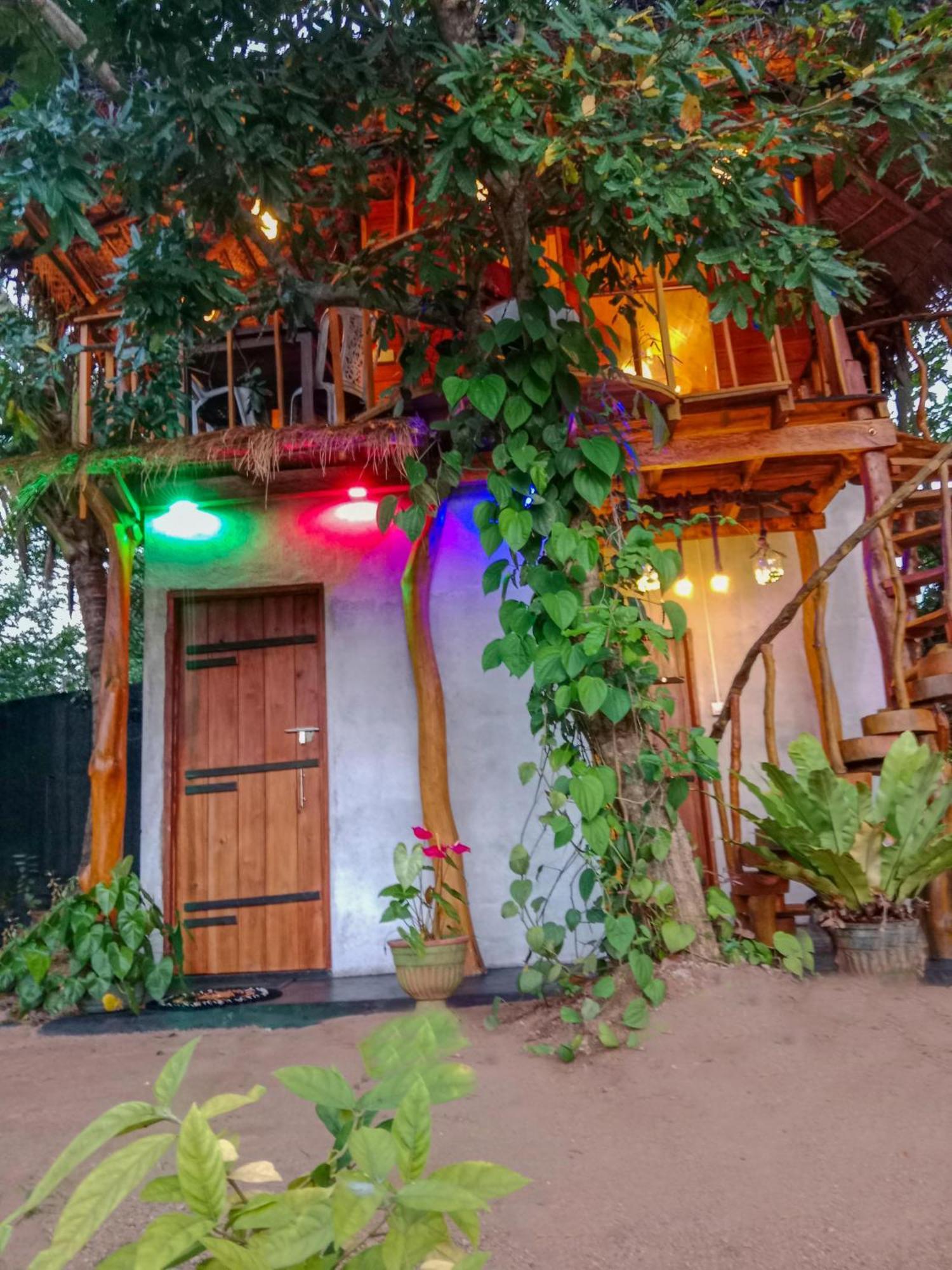 The Banda' Eco Villa Szigirija Kültér fotó